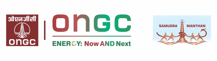 Platinum Partner